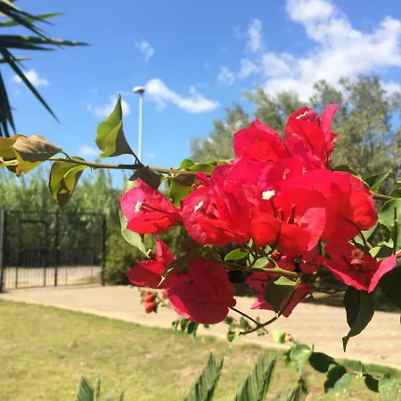 Casa Del Mirto Bianco * Chia