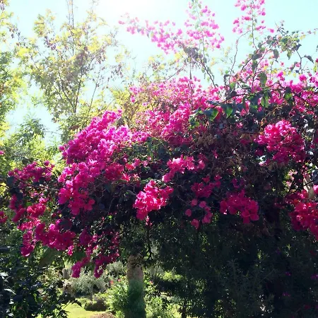 Casa Del Mirto Bianco Ferienhaus *