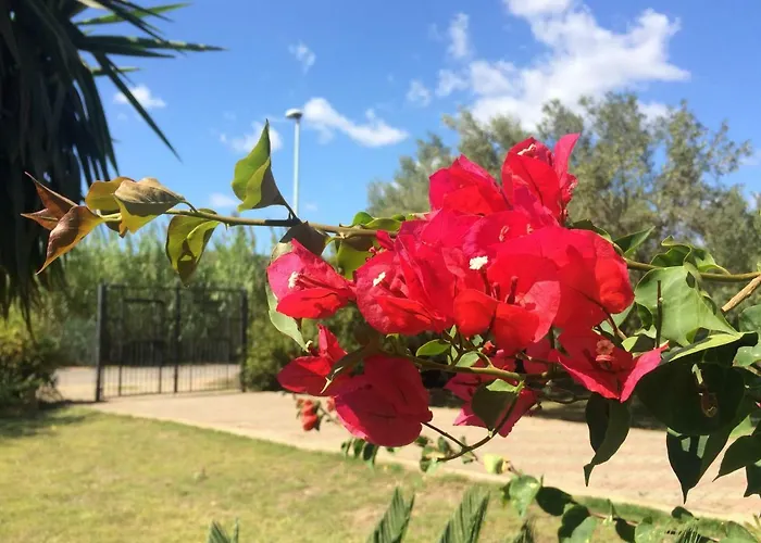 Casa Del Mirto Bianco * Chia