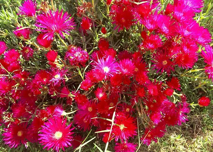 Casa Del Mirto Bianco Сasa de vacaciones Chia