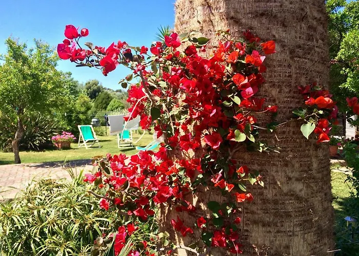 Casa Del Mirto Bianco